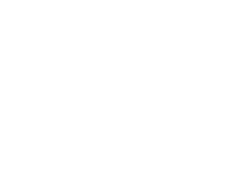 Northen Ireland Housing Executive 